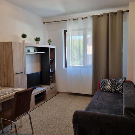 Ultracentral & Cozy, Palas Apt Iasi Exterior photo